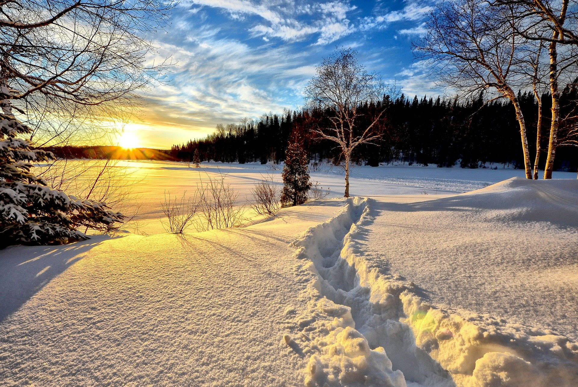 Winterlandschaft